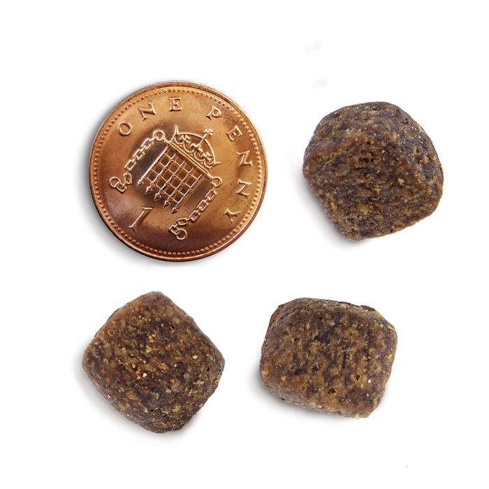 Free-Run Turkey Dental