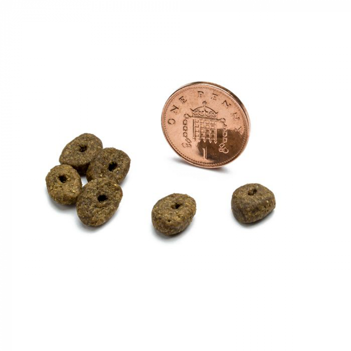 Small Breed Free-Run Turkey Dental For All Dogs